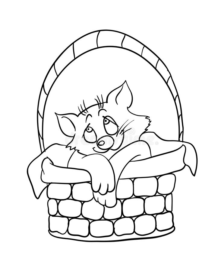 Red Nose Cat in the Basket